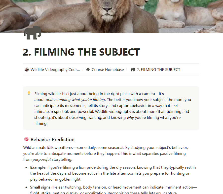 Beginner Wildlife Videography Course