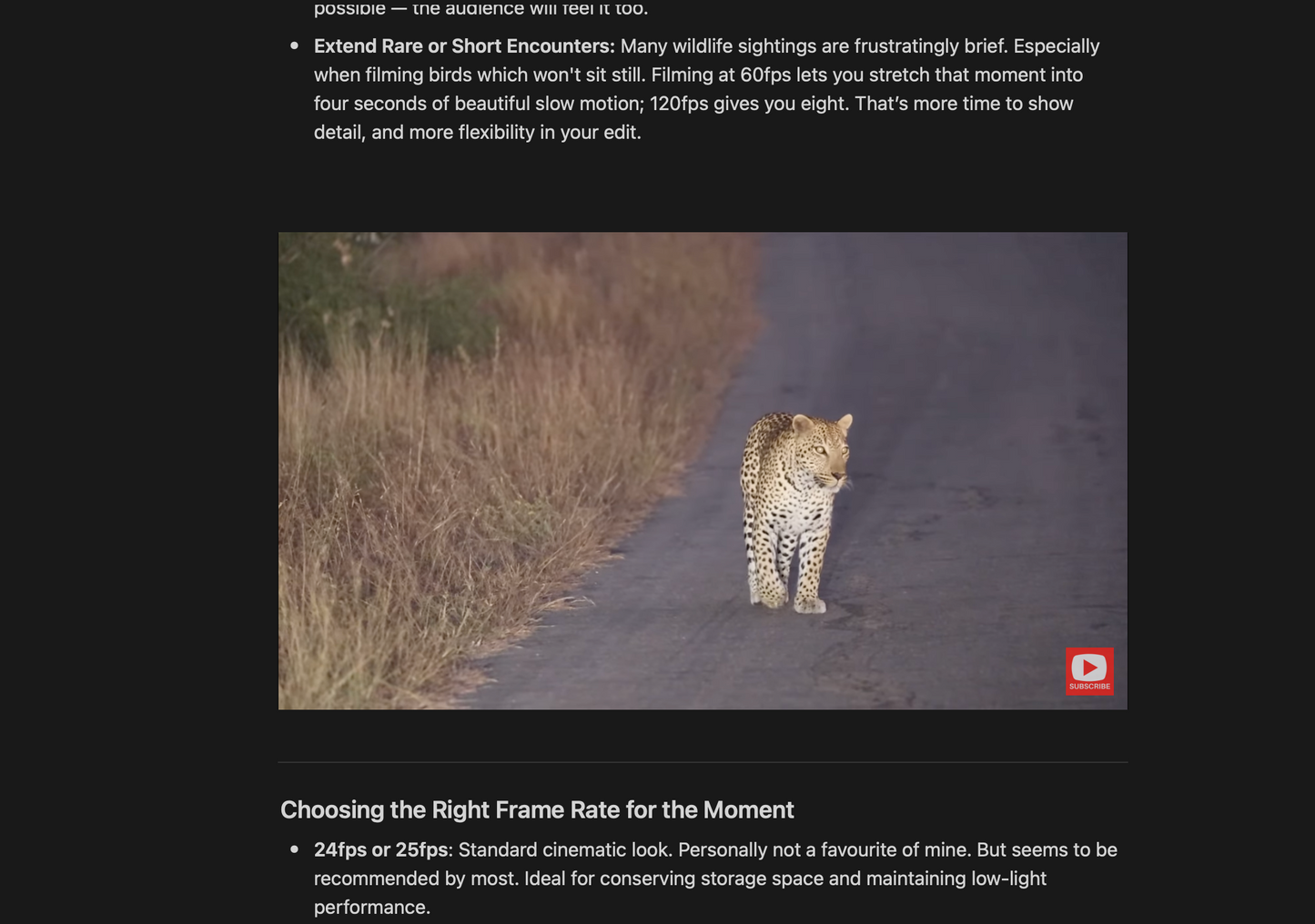 Beginner Wildlife Videography Course